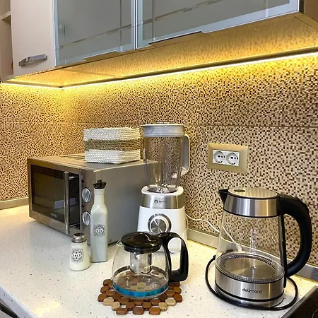 Old Town Apartman *